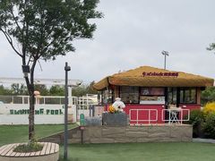 -爪吧宠物乐园 (温榆河示范区店)