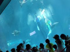 -福州罗源湾海洋世界旅游区