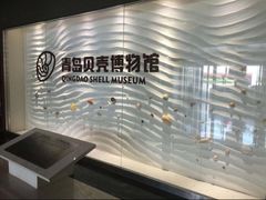 -青岛贝壳博物馆
