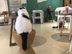 -藏猫猫咖啡主题馆(中央大道店)