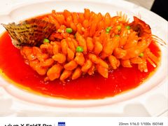 -丁老爷子苏香圆