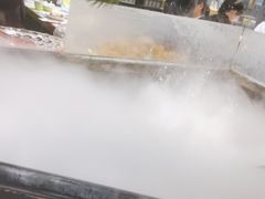 -洪氏嗨捞·猪肚鸡火锅(阳光天地店)