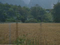 -明仕田园