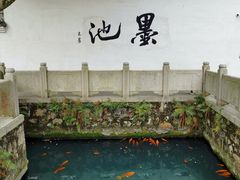 -墨池公园