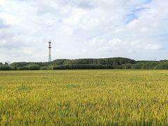 -嘉北郊野公园