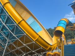 -重庆海昌加勒比海水世界