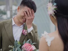 -百万葵园