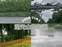 -绥化市森林植物园