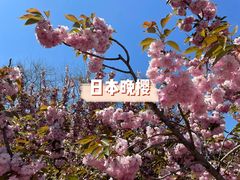 -大连植物园