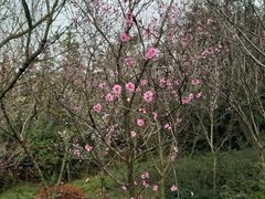 -一鸣真鲜奶吧(秣周东路地铁站店)