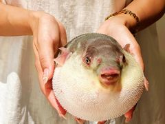 -永安鱼庄·镇江菜(东吴路店)