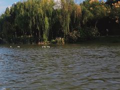 -南翔镇银翔湖公园