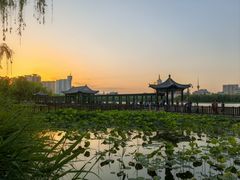 -莲花池公园