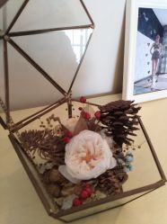 点击看大图 -瑜舍连锁瑜伽