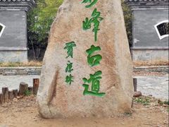 -阳台山自然风景区