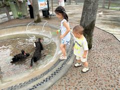 -珠海海泉湾神秘岛亲子乐园