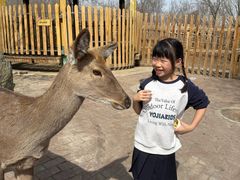 -水上乐园·欢乐世界