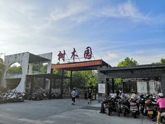 -中山市树木园