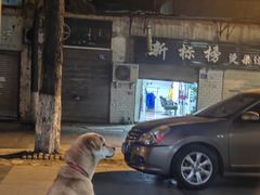 -霍元甲烧烤(江城商务大楼店)