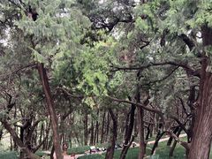 -七曲山风景区