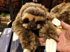 -珠海横琴国家地理探险家中心(创新方)