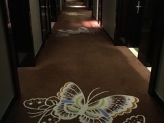 -常州环球恐龙城维景国际大酒店