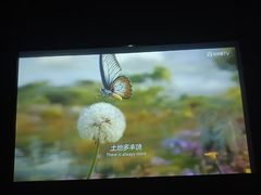 -华夏良子·足道SPA养生(上海崮山路明悦店)
