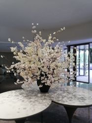 -广州美莱医疗美容医院