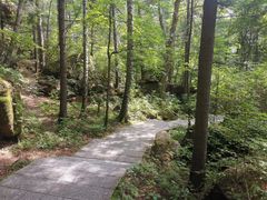 -汤旺河林海奇石景区