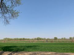 -西青郊野公园