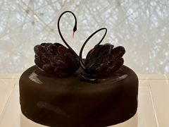 -BLACKSWAN黑天鹅(环球店)