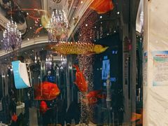 -齐家花园大酒店·本帮菜(宝山店)