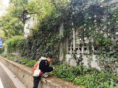 -杭州香格里拉饭店