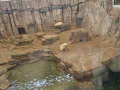 -西安曲江海洋极地公园