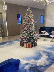 -深圳米兰柏羽医疗美容医院