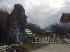 -青峰峡国家森林公园