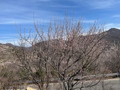 -妙峰山风景名胜区