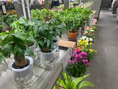 -鹿岛会员店(熙地港店)