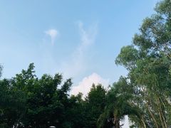 -福建鲤鱼洲酒店