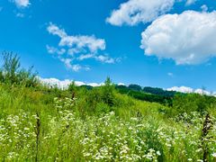 -长白山万达国际度假区