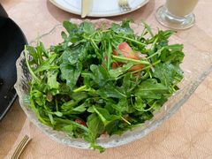 芝麻叶沙拉-BRBR叙利亚餐厅(总店)