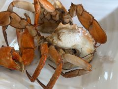 -莲花公园煎蟹(总店)