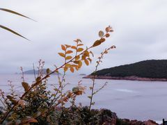 -象山黄金海岸雷迪森酒店