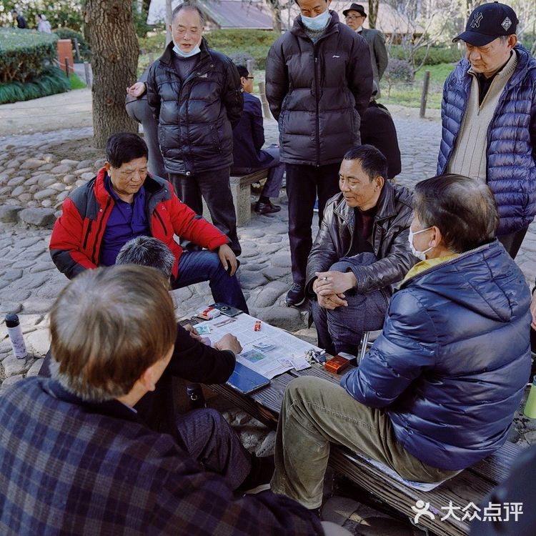 街头随拍｜华山绿地｜闹市区里的街心公园