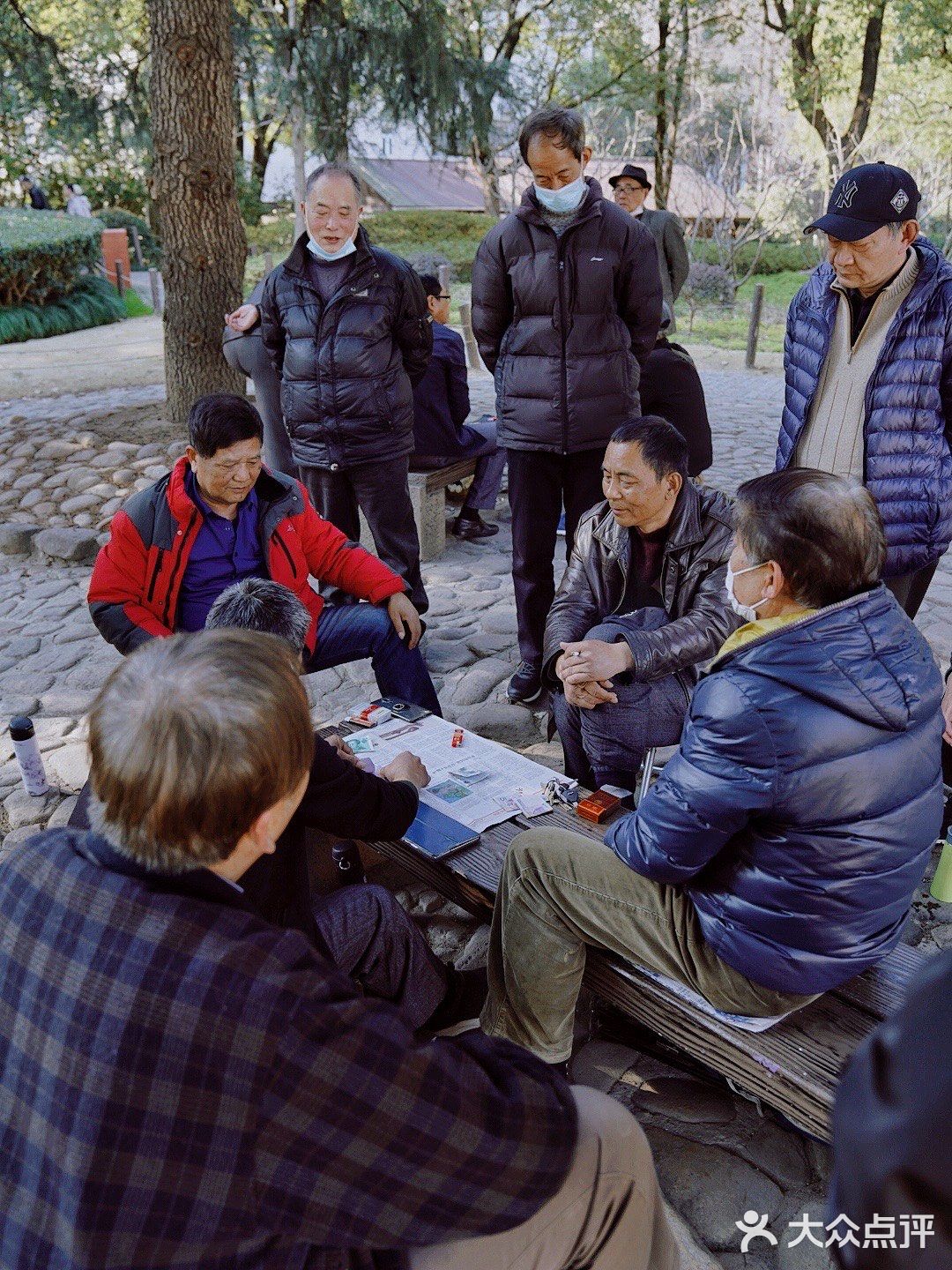 街头随拍｜华山绿地｜闹市区里的街心公园