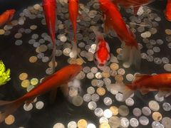 -恭敬李·烤鸭(天坛北门店)