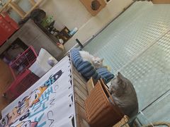 -小时光咖啡馆(开森度假森林店)