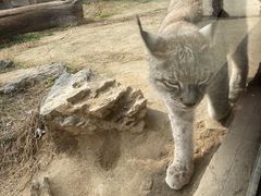 -杭州野生动物世界