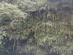 -海口火山口国家地质公园