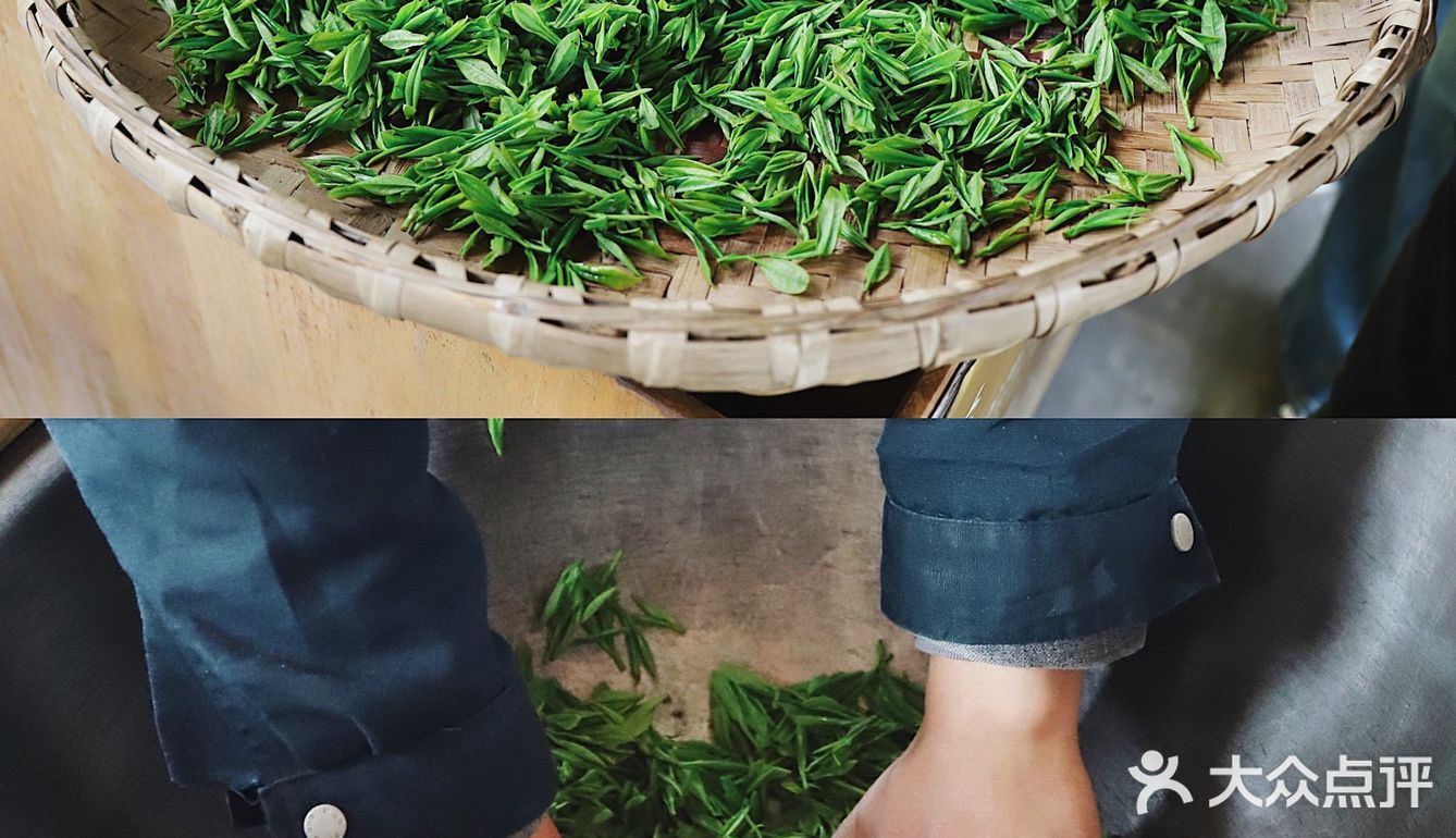 春游踏青好去处｜重庆最美茶园就在这儿🍃